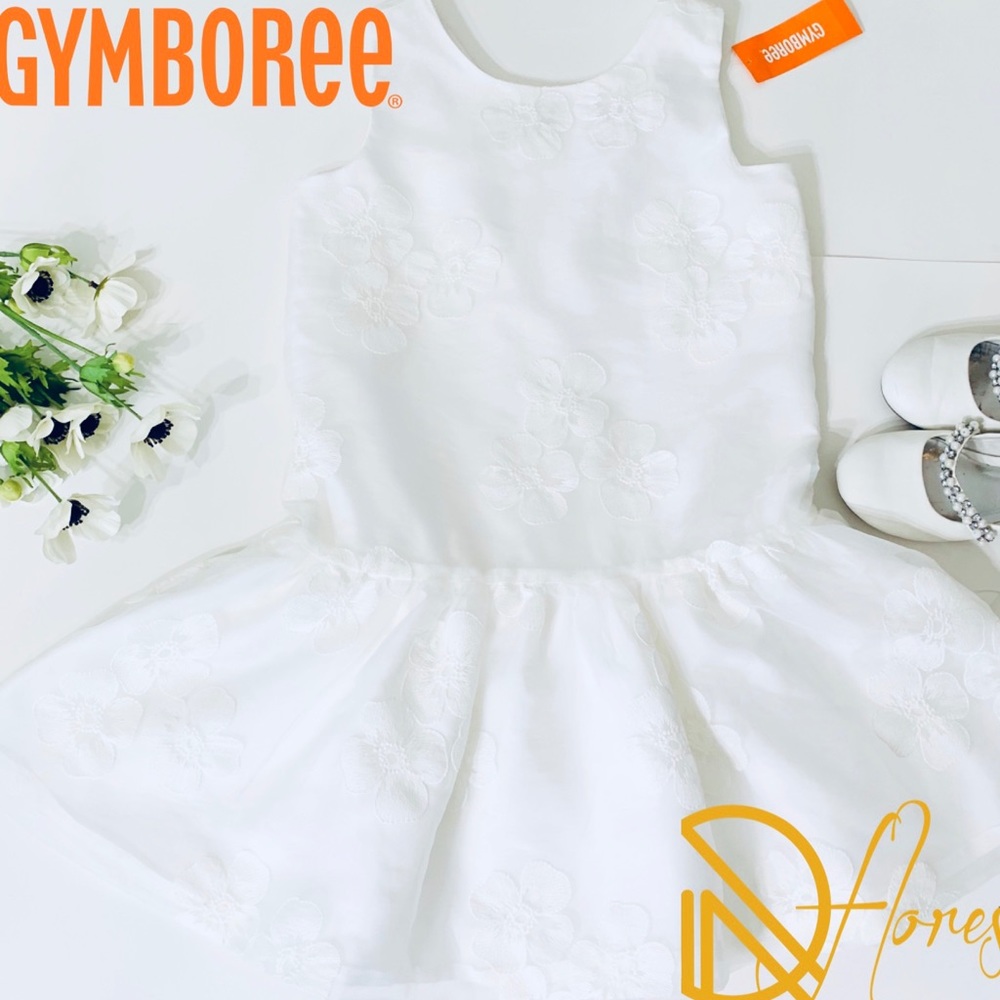 NEW! GYMBOREE Girl Dress Size 10